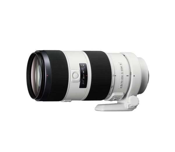 SAL70200G2 main image